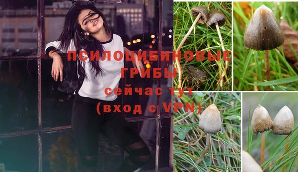 гашиш Верея
